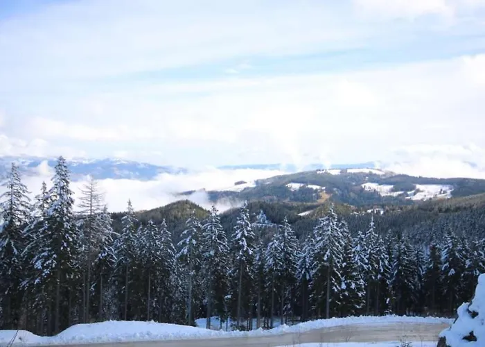 Almchalet Diana Appartement